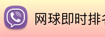 网球即时排名 logo